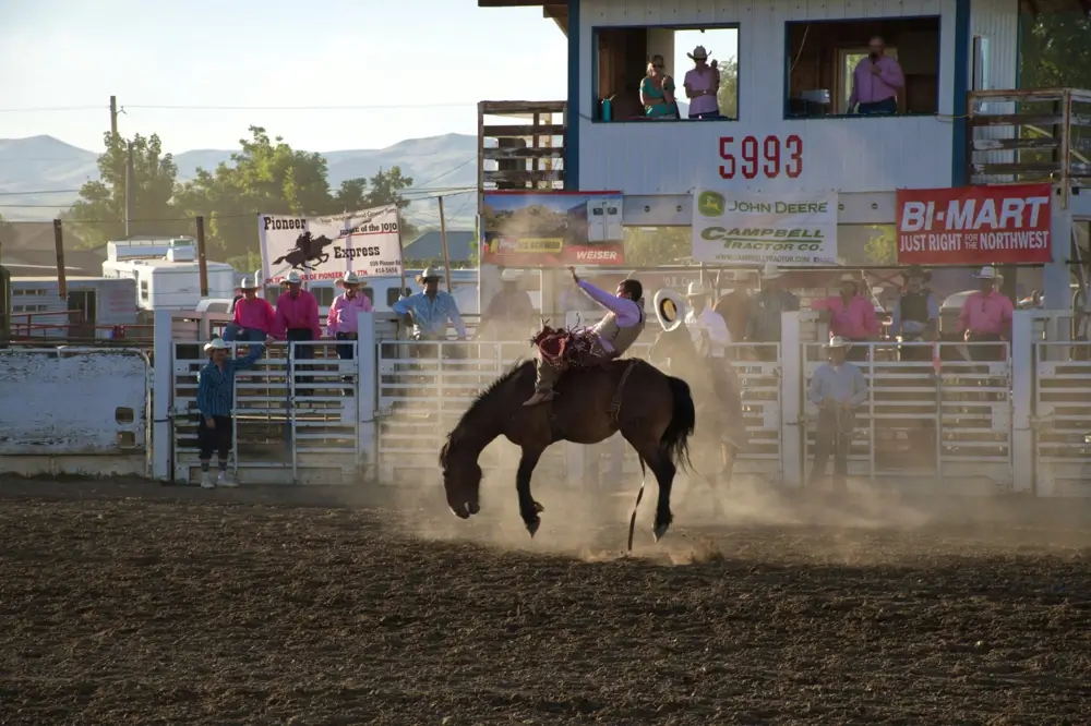 Arrested at the Miles City Bucking Horse Sale in Miles City? Arrested at the Miles City Bucking Horse Sale in Miles City?